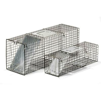 Little Giant Live Trap-Single Door LT3